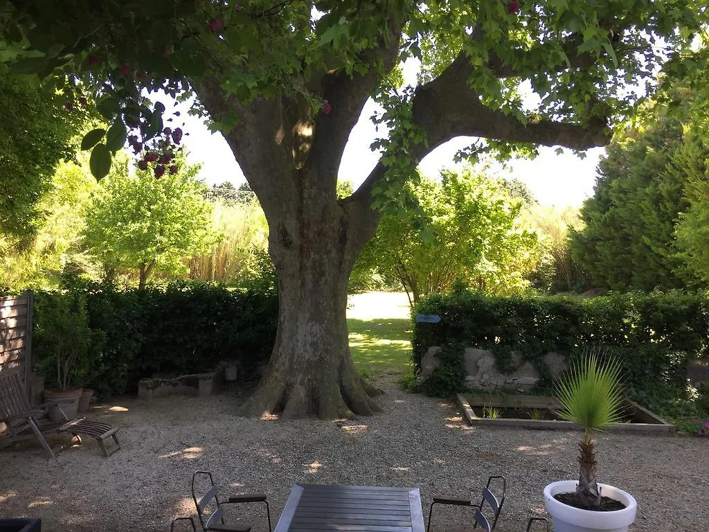 Bed and Breakfast Montjoia Le Thor Frühstückspension